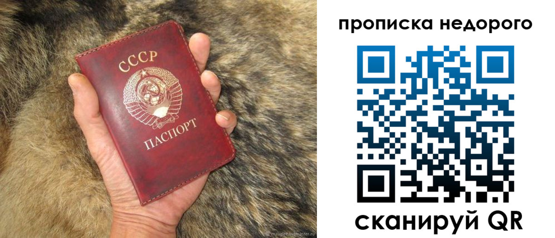 прописка для школы в Катайске
